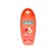SH.PALMOLIVE 2 IN 1 350 ML.