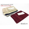 ASCIUG. OSPITE 40X60CM BASIC100% COTONE