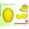 CONTENITORE SALVAFRESCHEZZA LIMONE