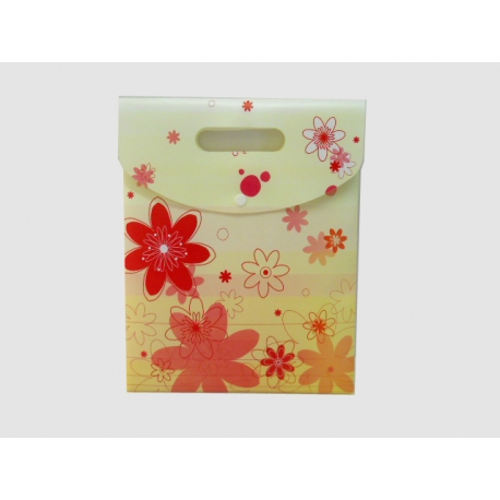 BUSTA REGALO C/BOTT.27X20