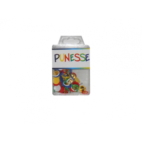 PUNESSE COLOR IN BOX