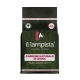 CARBONE IL LAMPISTA KG.2,5