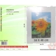 CORNICE A GIORNO 30X40 FURORE