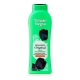 BGS.TULIPAN NEGRO ORIGINAL650 ML.