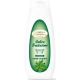 BGS.SPUMA DI SCIAMPAGNAVERDE RESPIRO 450 ML.