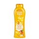 BGS.TULIPAN NEGRO TROPICAL MANGO 650 ML.